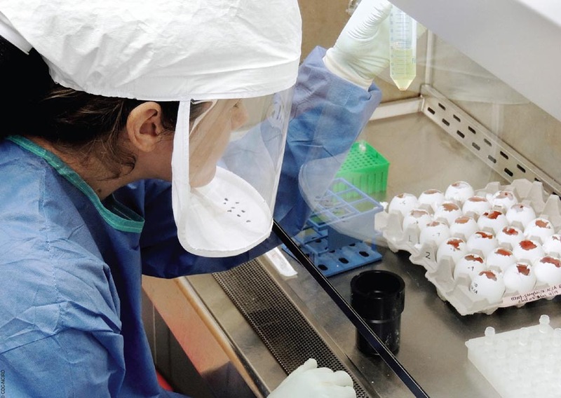 Pandemia pentru care nu ne-am pregătit