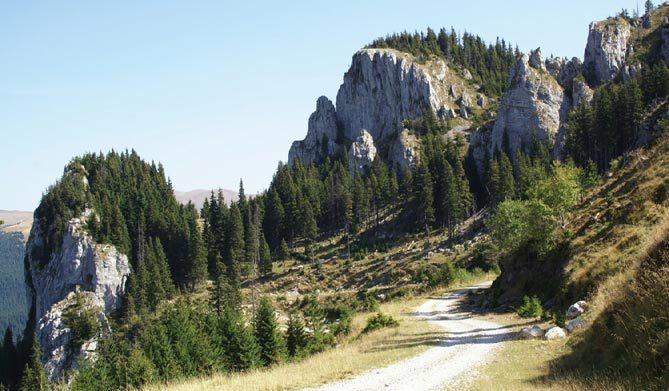 Pasiunea mea, natura!