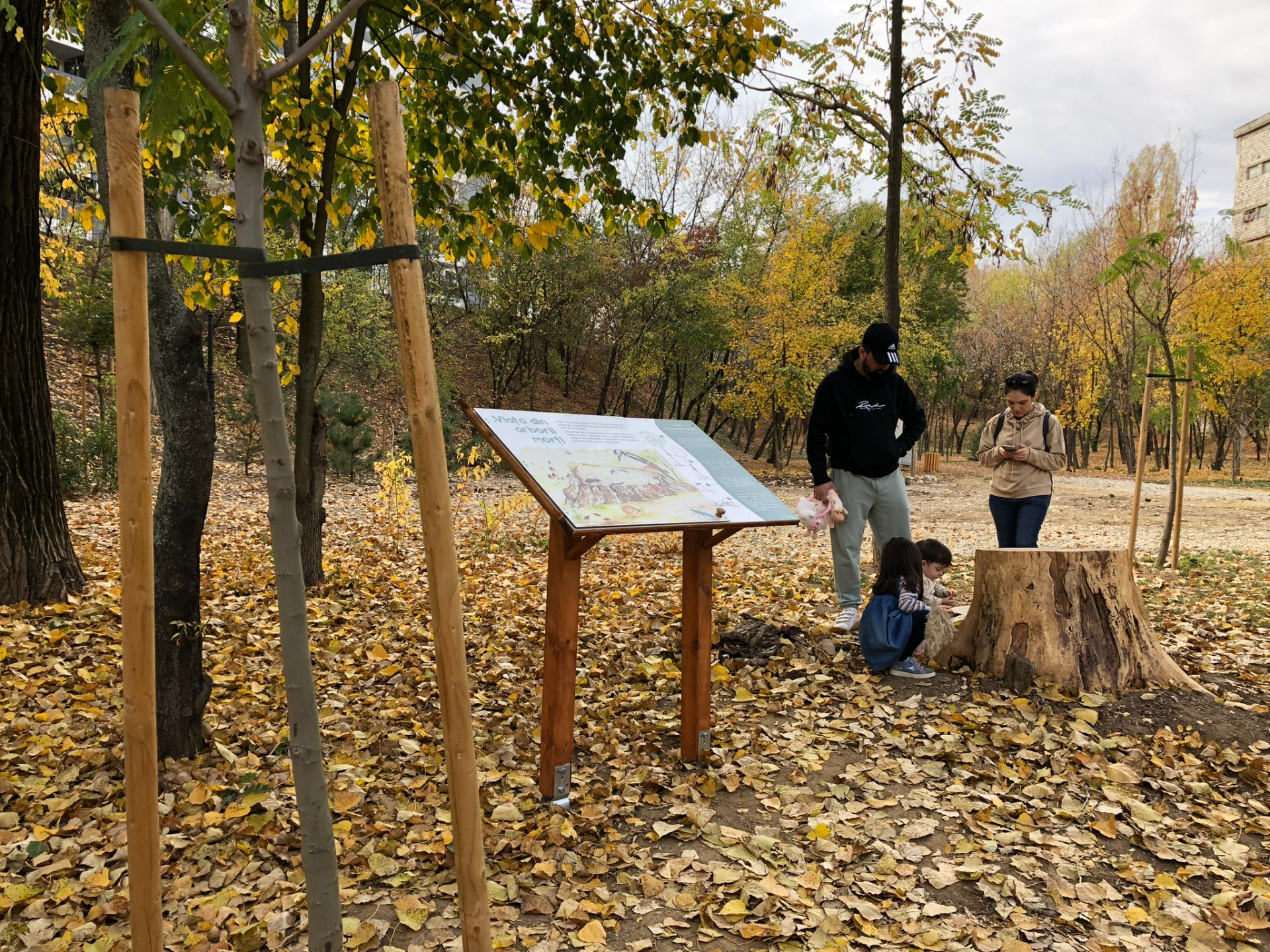 „Natura sub lupă”, traseu tematic dedicat biodiversității din Parcul Sticlăriei