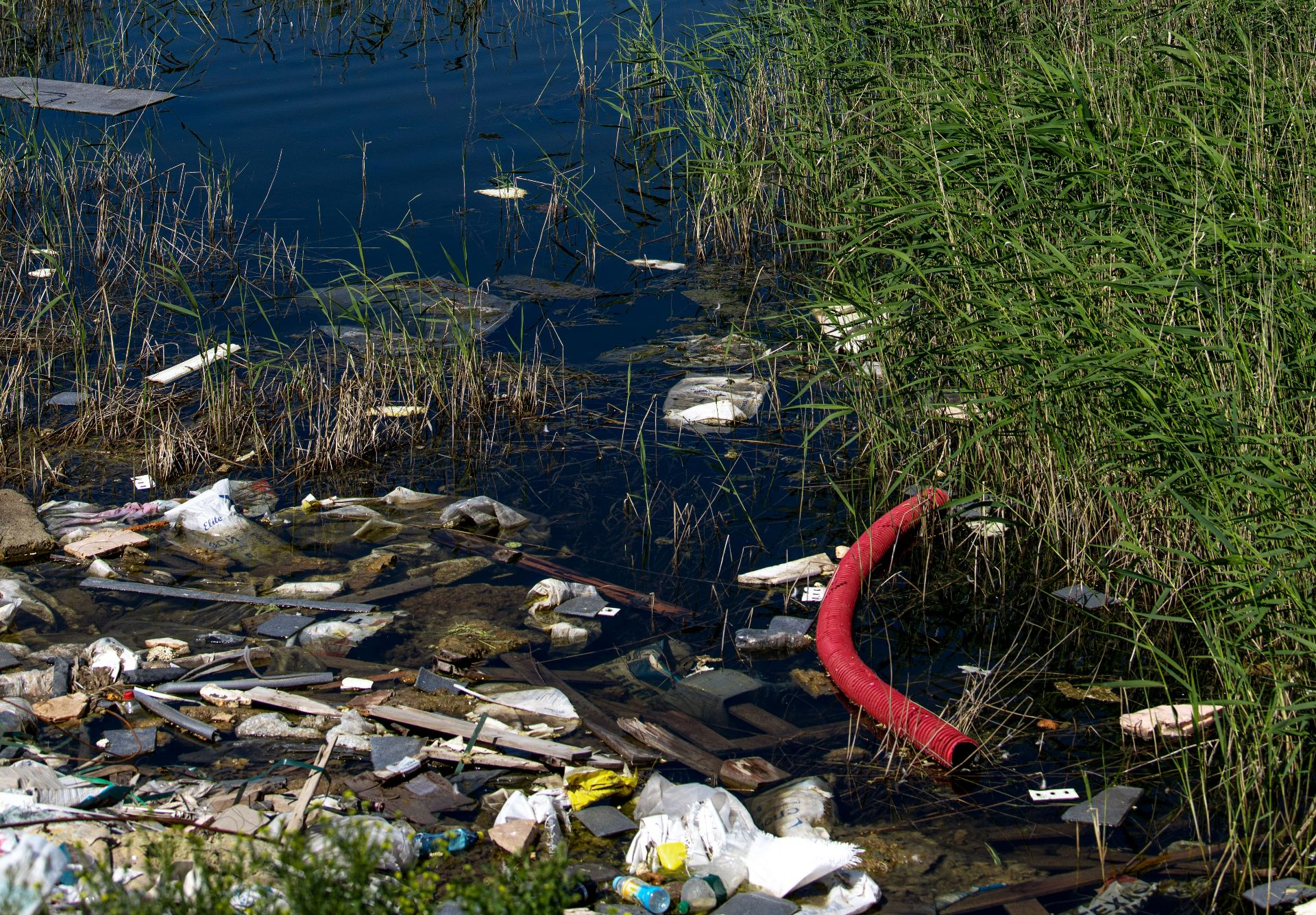 Fără plastic în Dunăre: ghiduri de colectare separată în 150 de localități