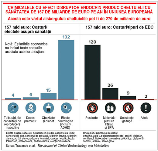 Cât ne costă plasticul şi contemporanii săi