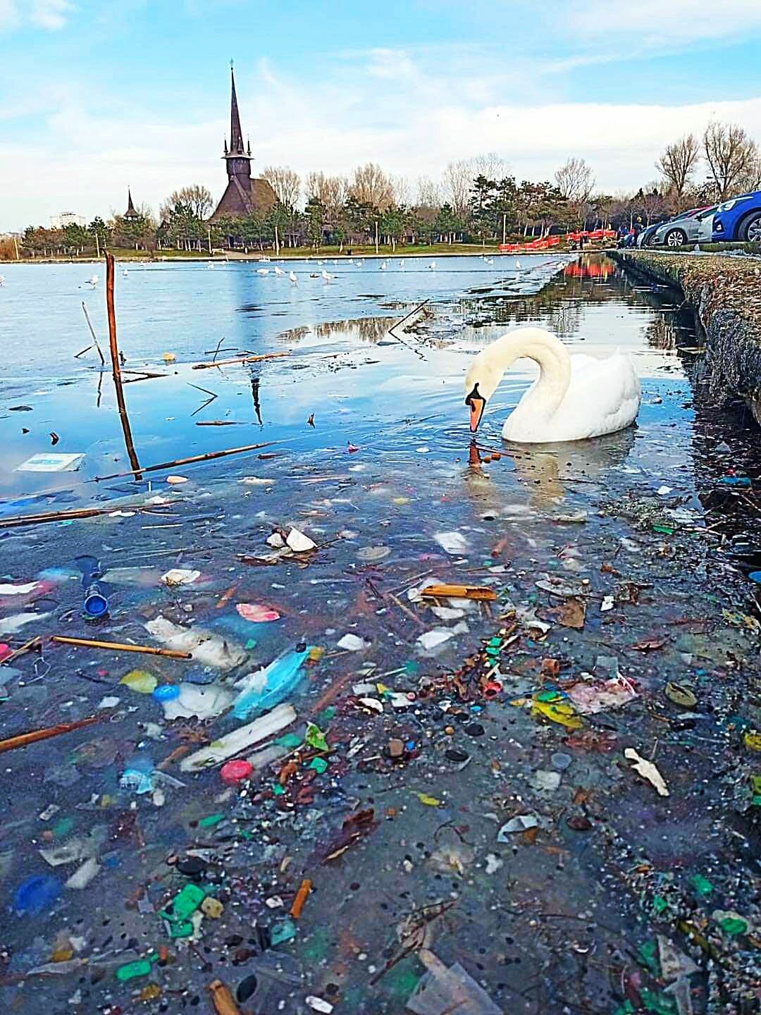 Lacurile și râurile din România sunt pline de microplastic