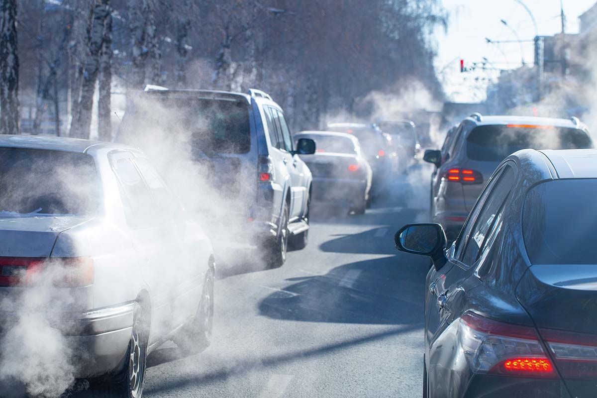 Poluarea din trafic afectează creierul