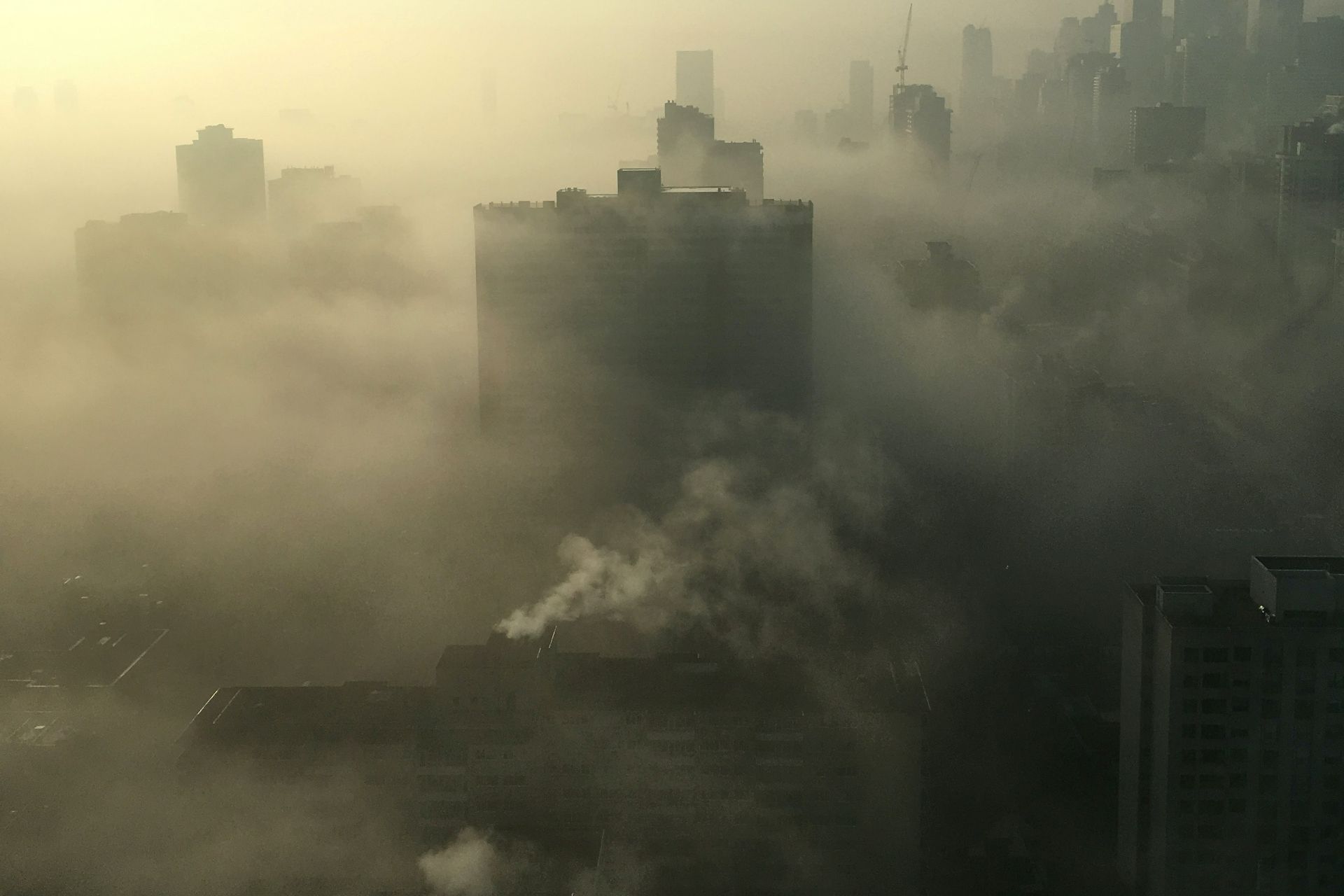 „The Lancet”: unul din șase decese premature e cauzat de poluare