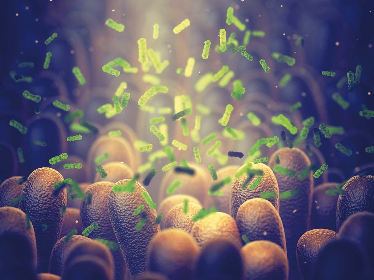 Genetica influenţează microbiomul intestinal