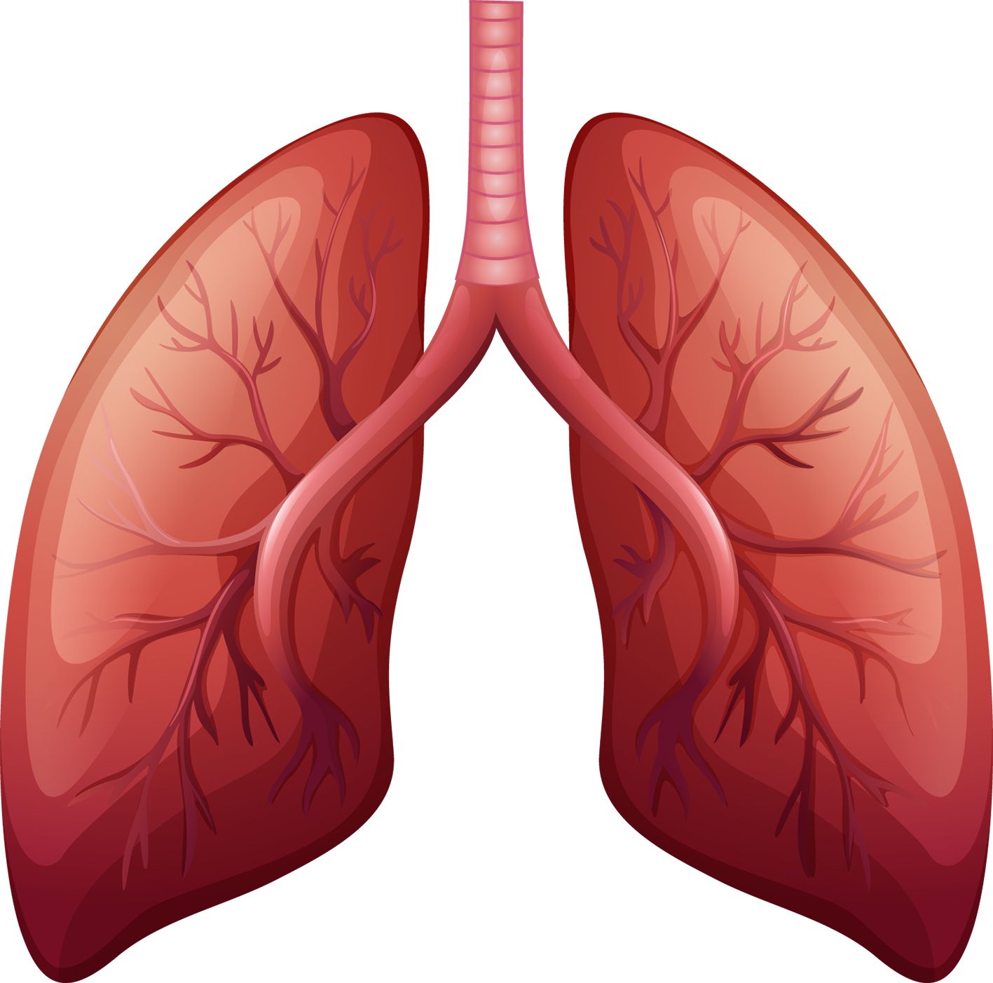 Tehnică promiţătoare pentru hipertensiunea pulmonară
