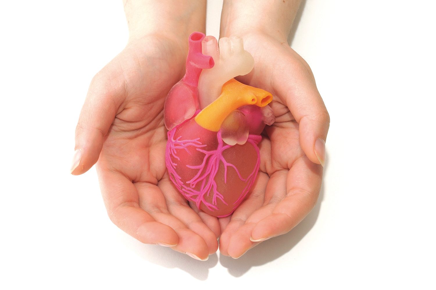 Rolul prognostic al CA-125 în insuficienţa cardiacă acută