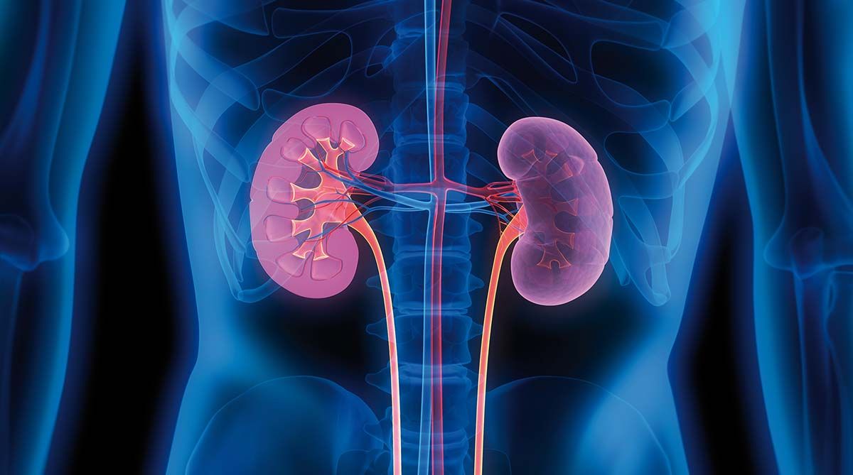 DZ: prevenţie și tratament  în boala cronică de rinichi
