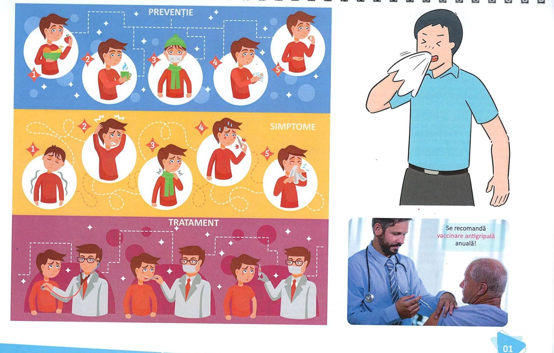 sistemul digestiv 2 modif