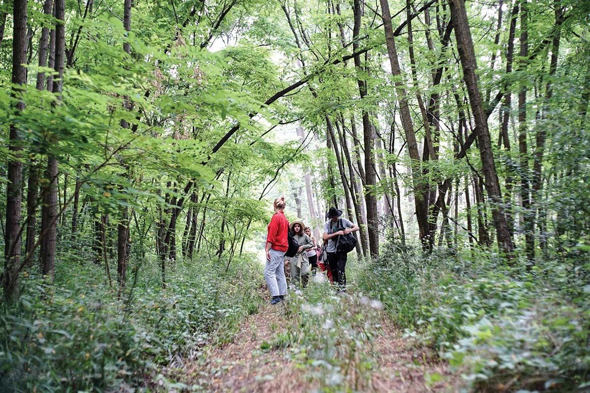 special walk padure virgina