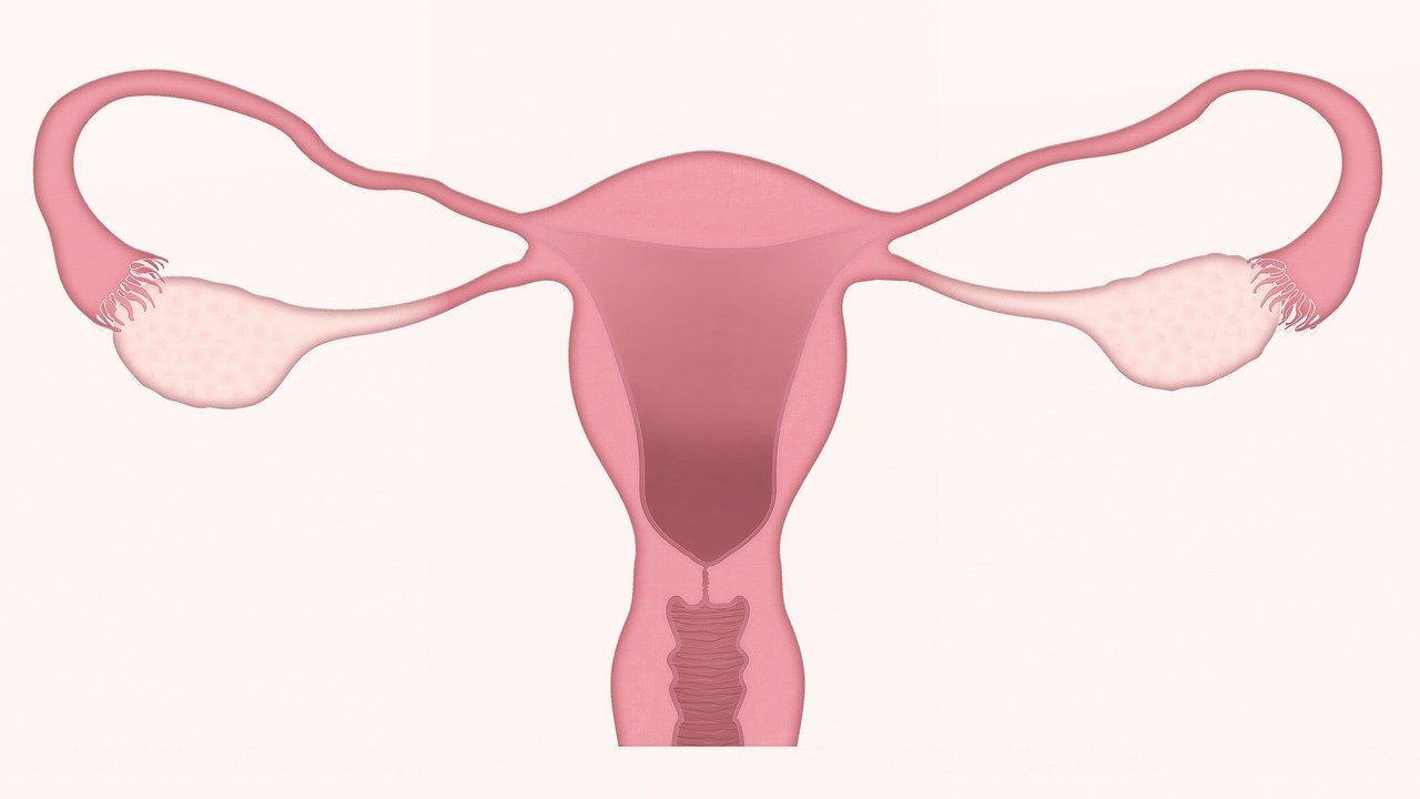 O caravană mobilă pentru screeningul cancerului de col uterin ajunge în judeţul Mureș