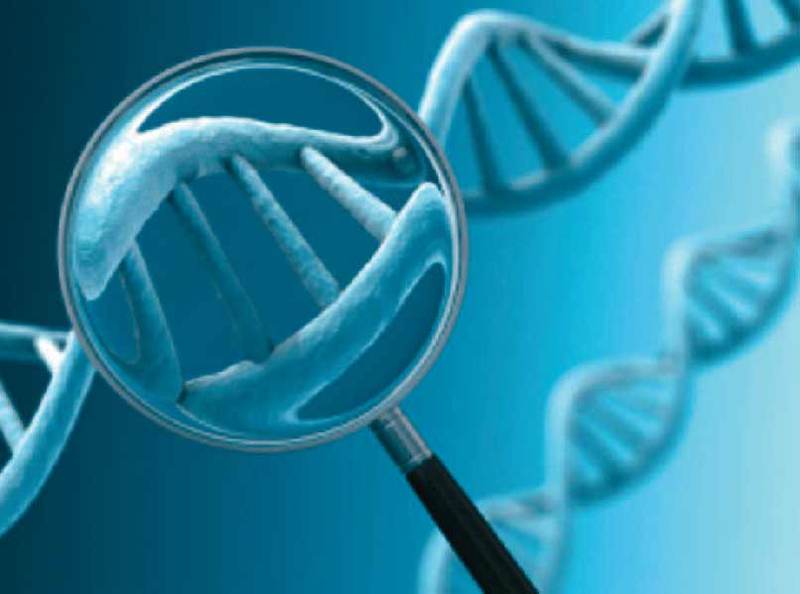 Testarea genetică în oncologie