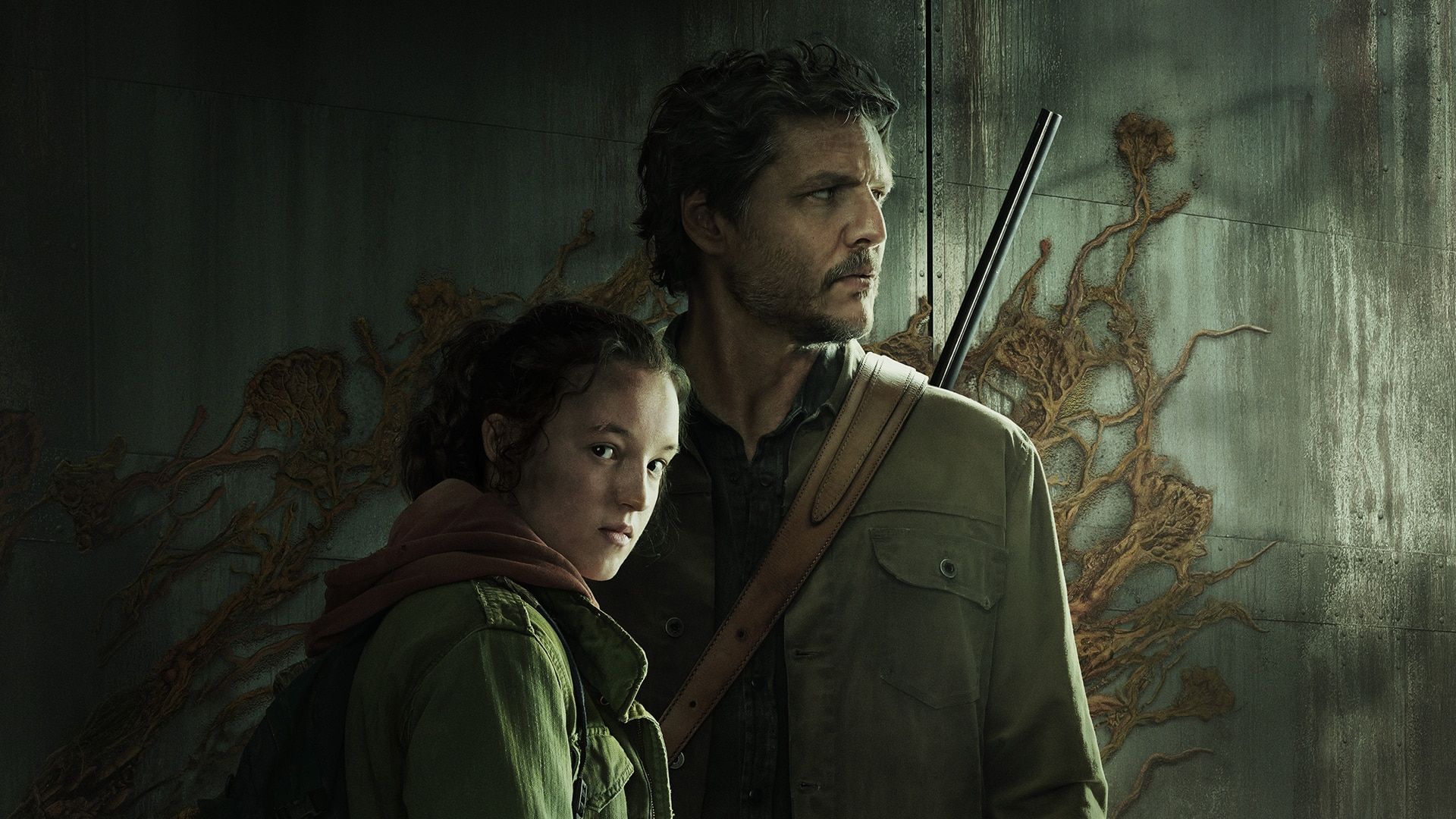 Pandemie cauzată de fungi: cât de real este scenariul pe care se bazează „The Last of Us”?