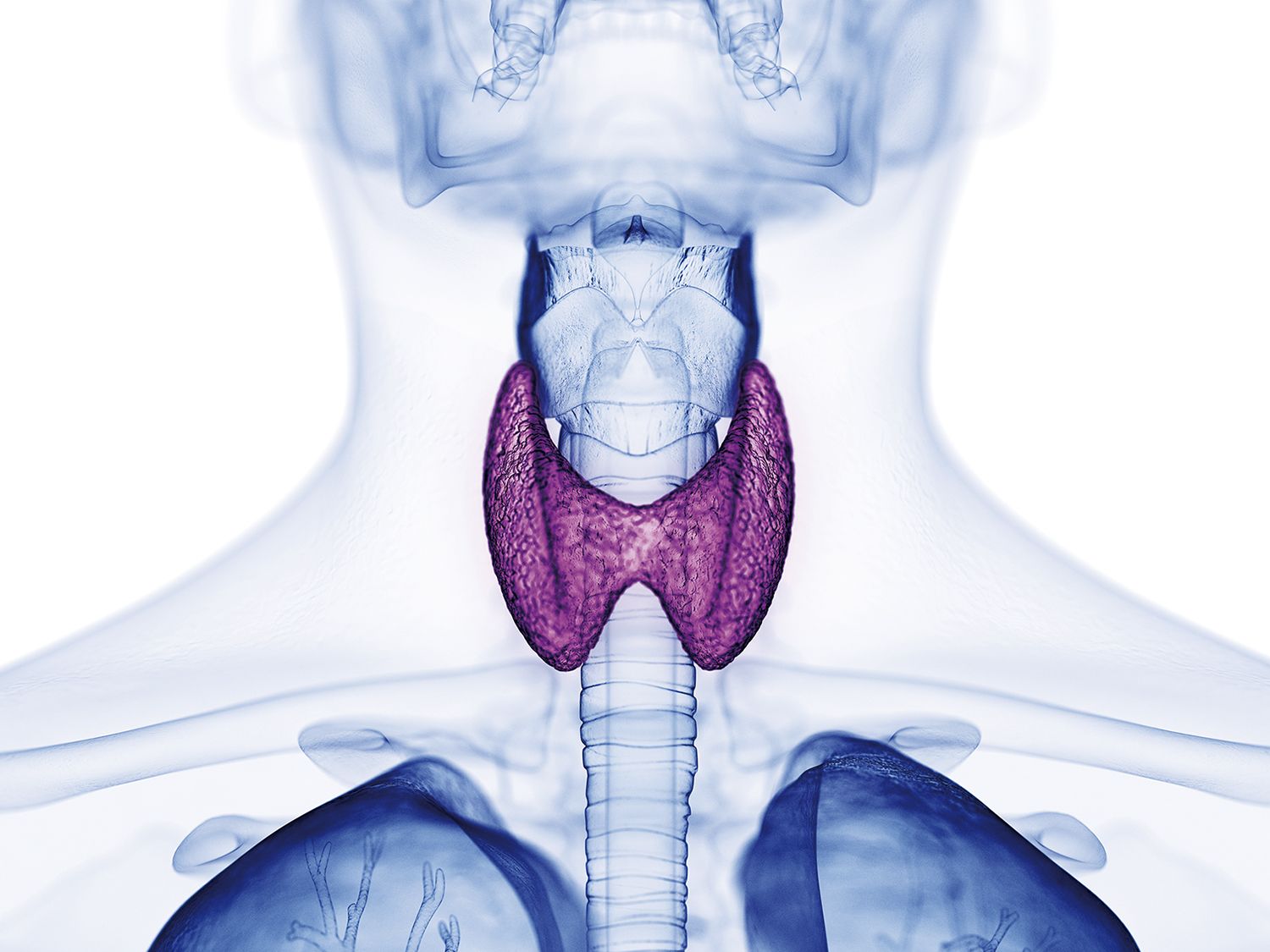 Patologia tiroidiană, cea mai frecventă afecţiune endocrină