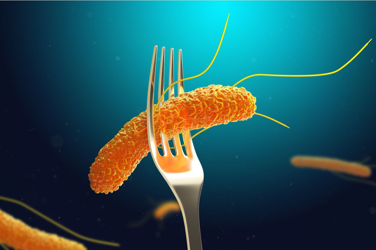 Salmonella produce o treime din toxiinfecțiile din Europa