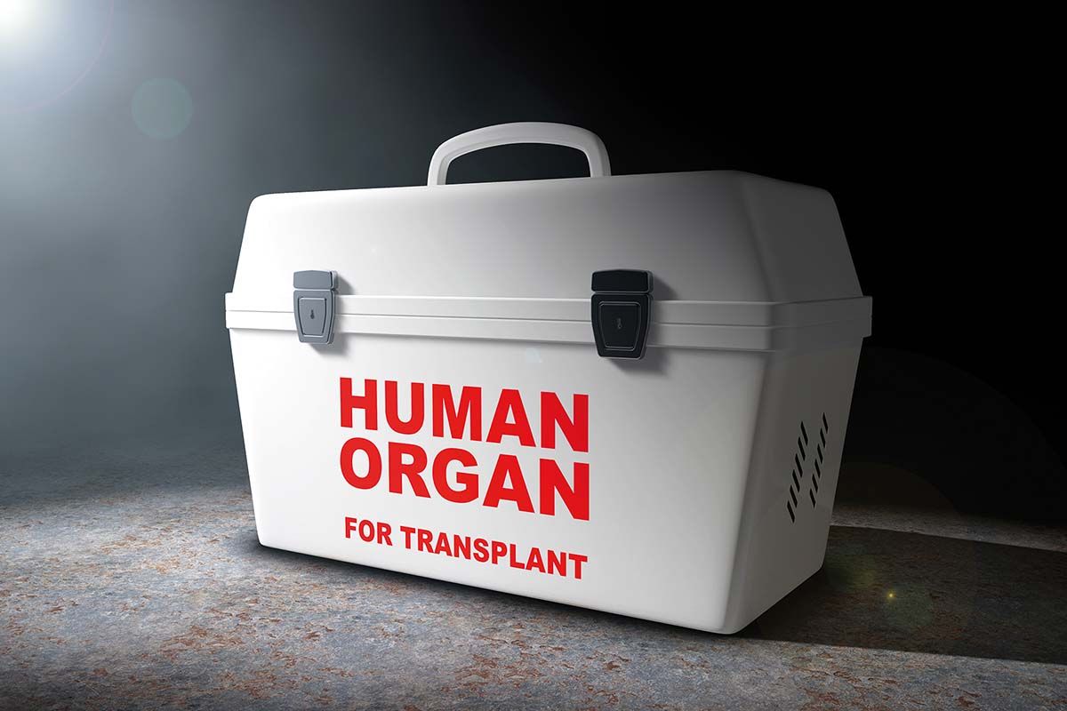 Planuri  noi  pentru transplantul din România