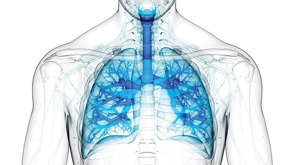 Transplant pulmonar  prin incizie de 8 centimetri