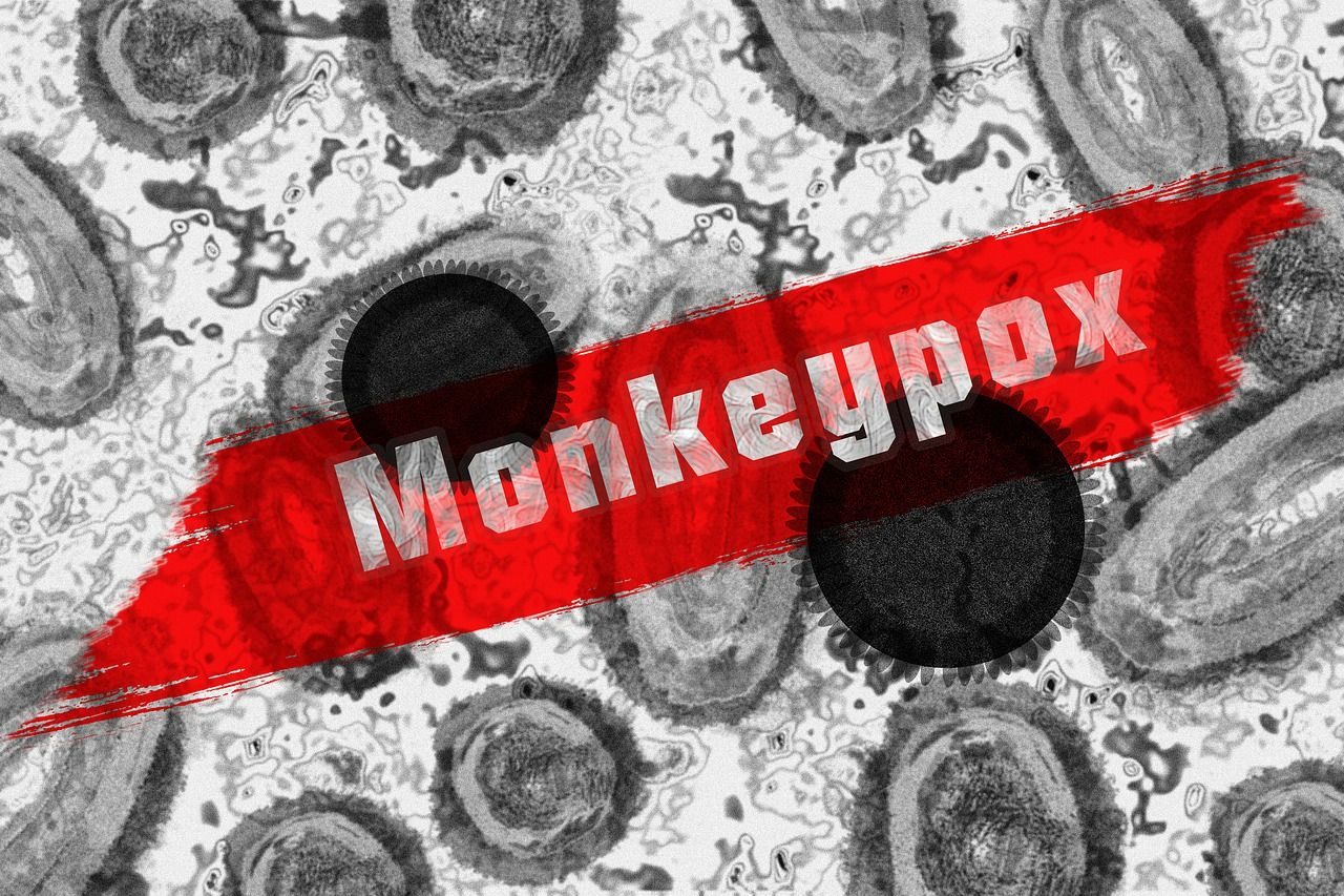 Primul caz de variola maimuţei, detectat în Japonia