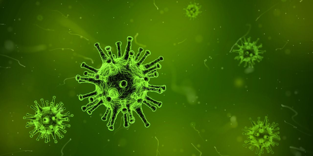 Infecția cu rotavirus ar putea avea un rol în dezvoltarea diabetului de tip 1