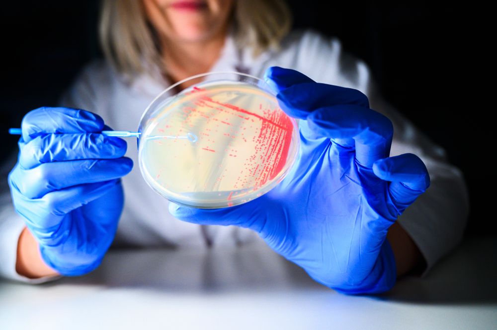 Universitatea „Babeș-Bolyai” se implică în dezvoltarea vaccinurilor împotriva bacteriilor  rezistente la antibiotice