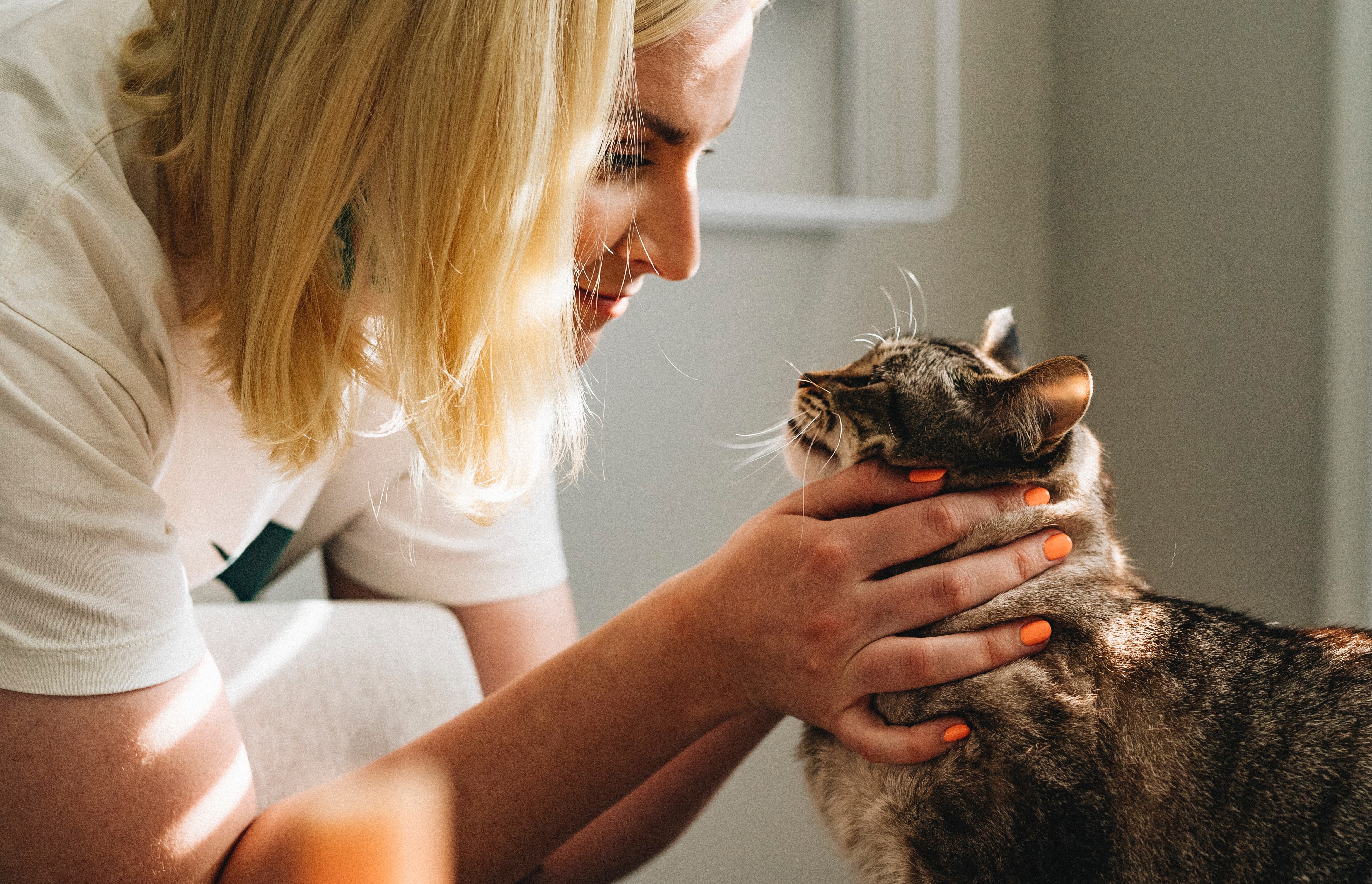 Studiu clinic: un vaccin ar putea trata alergia la părul de pisică 