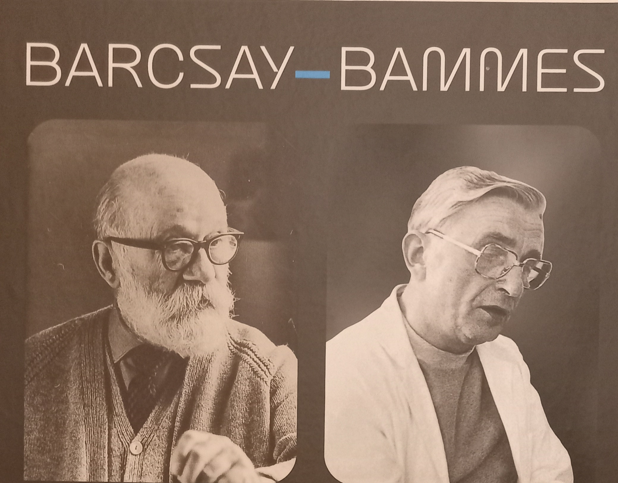 Anatomia în slujba artei