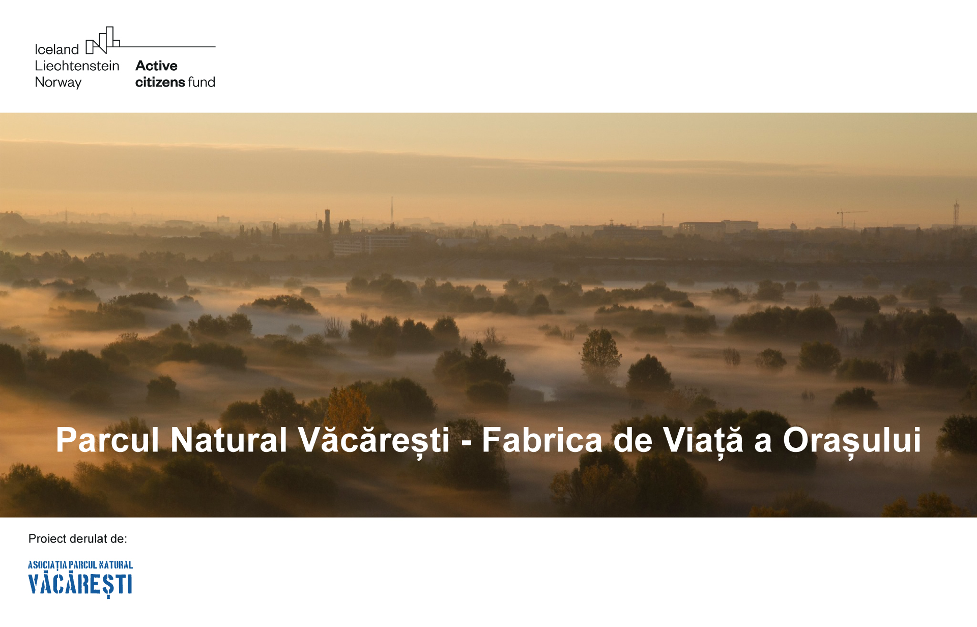 Parcul Văcărești, model pentru alte cinci zone naturale din Capitală