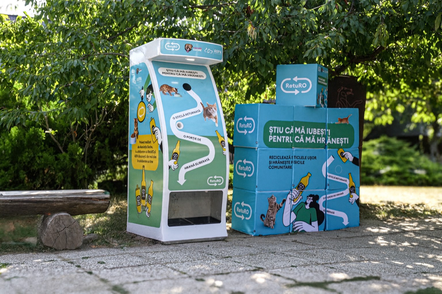 Automate cu hrană și apă pentru pisicile străzii, instalate la Muzeul Satului