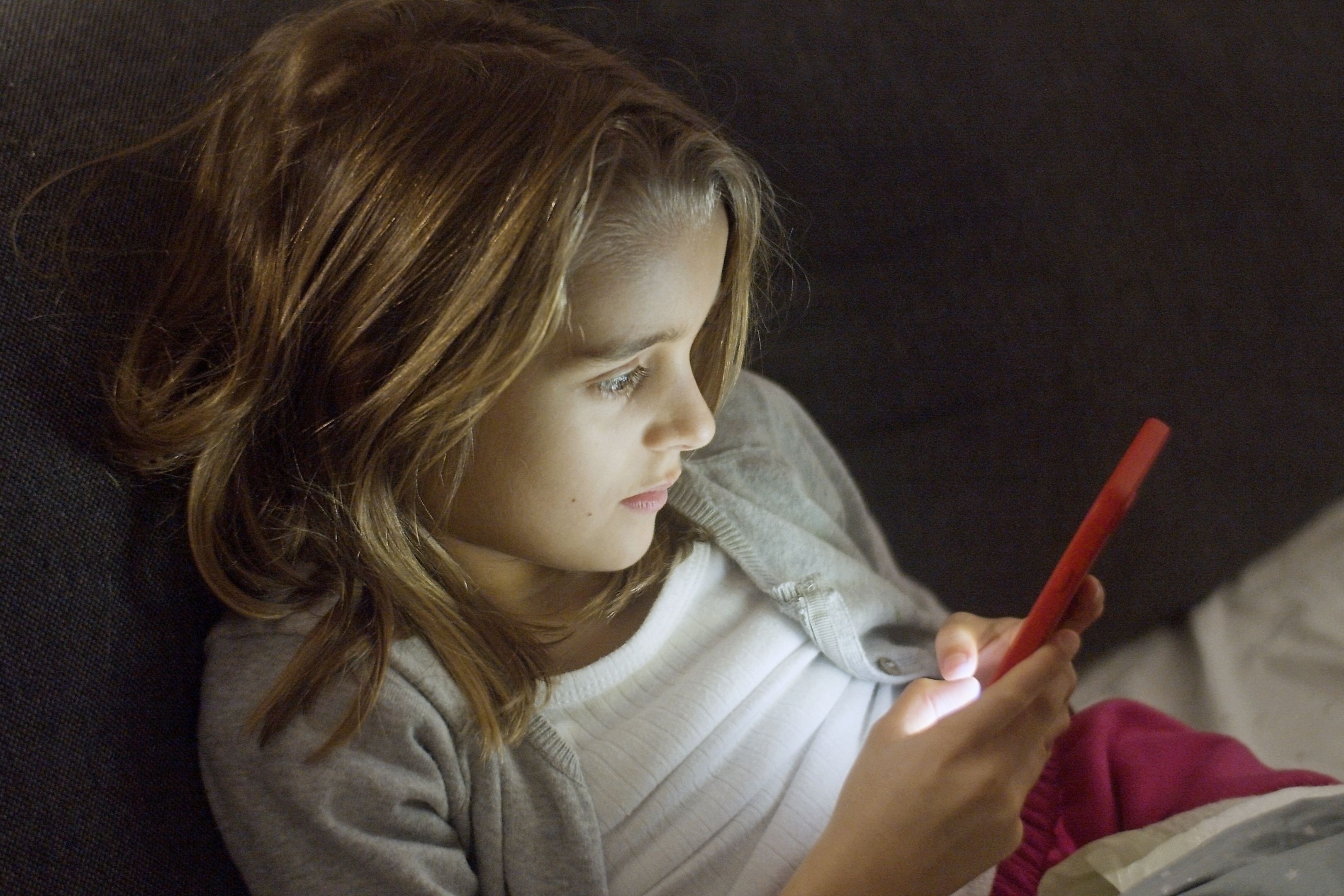 A fost adoptat Regulamentul „EU KIDS ACT”