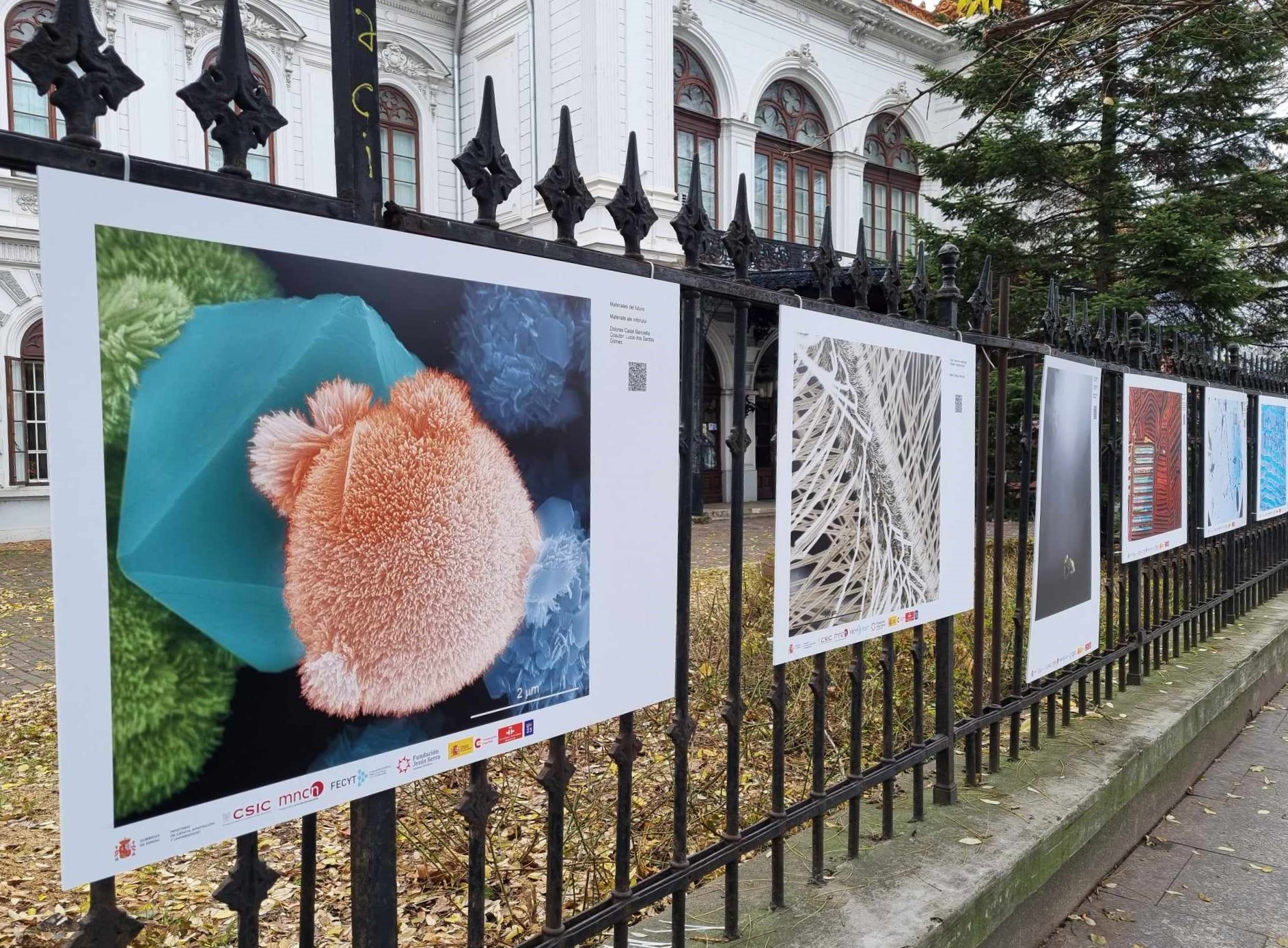Artă la microscop: expoziție de fotografie științifică la Palatul Suțu