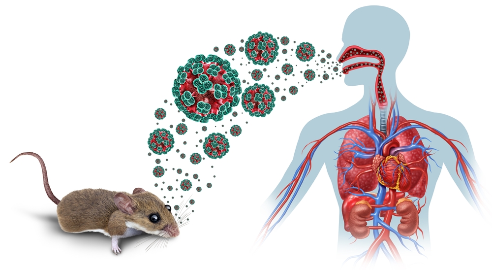 Al doilea caz de hantavirus confirmat, după ce trei persoane au murit 