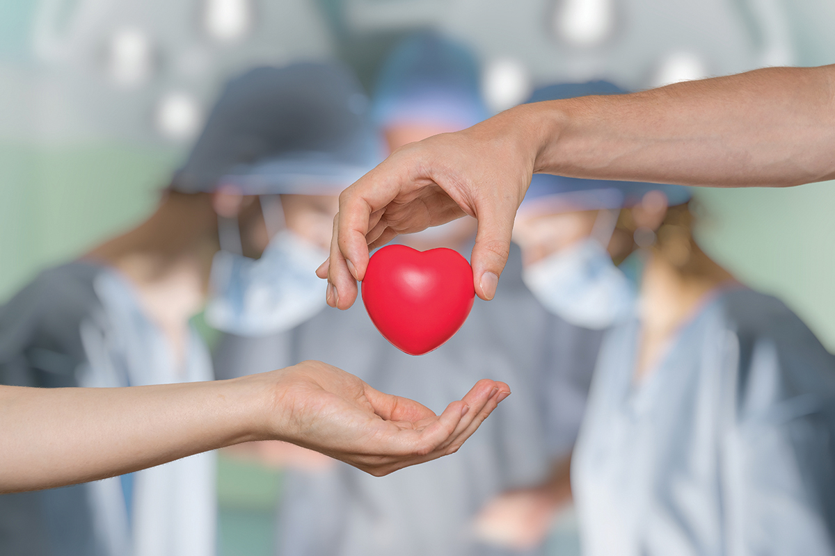 Transplanturile cardiace de la donatori cu COVID-19 activ au rezultate mai slabe