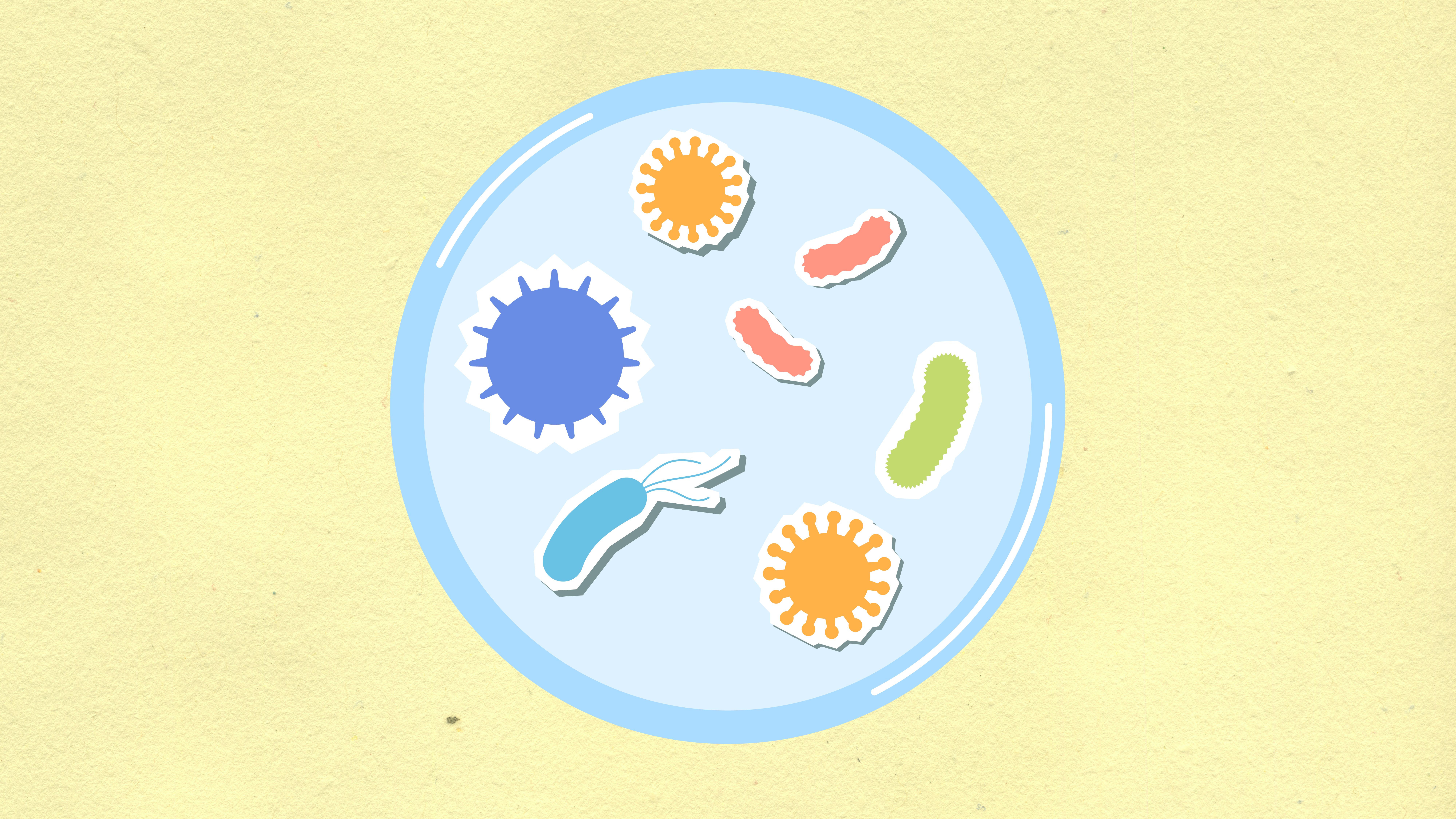 Ziua Mondială a Microbiomului