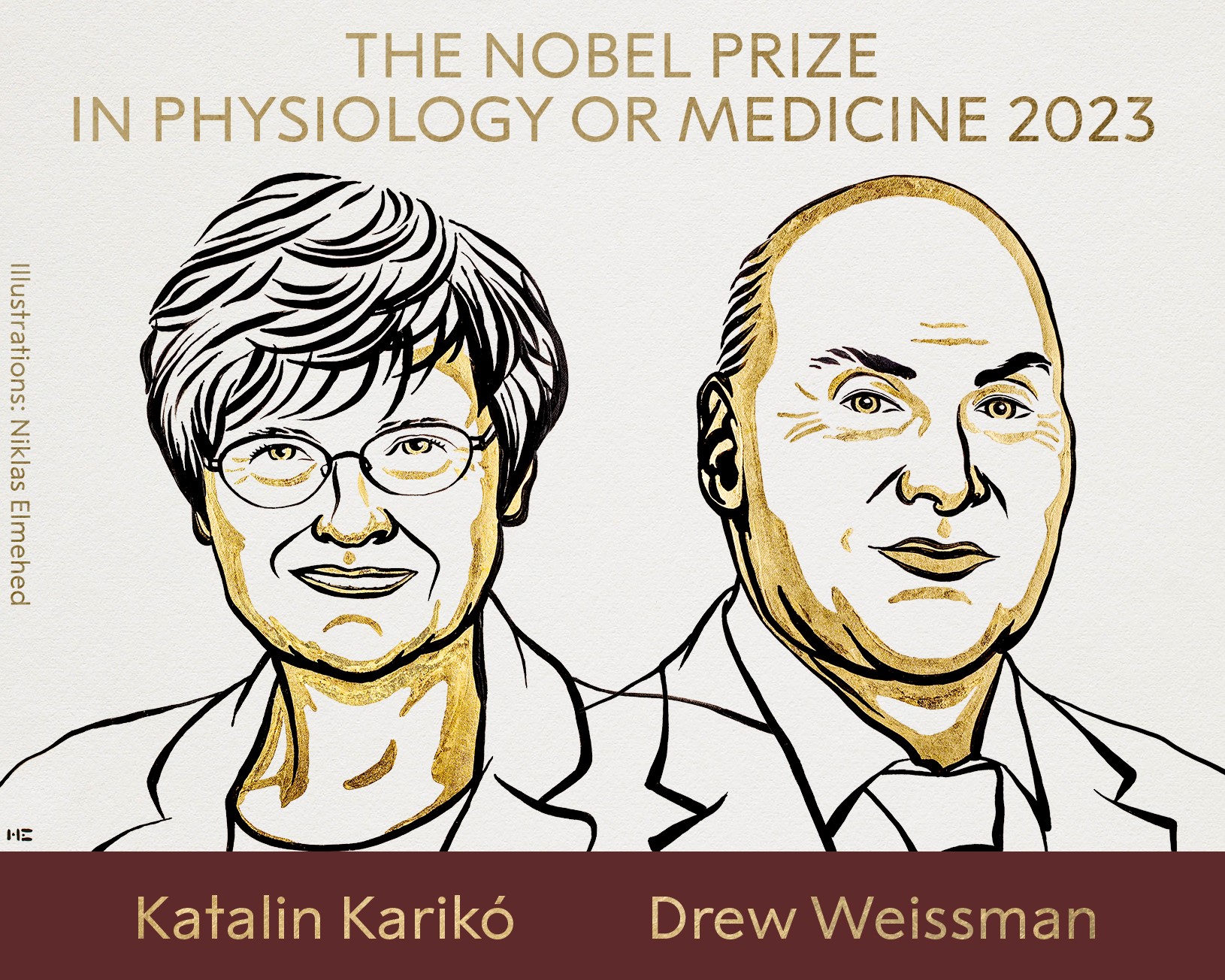 Katalin Karikó și Drew Weissman, recompensați cu Nobelul pentru Medicină 