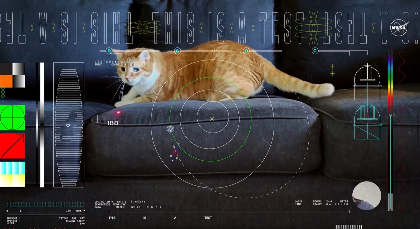 Un videoclip cu o pisică, transmis de NASA de la 30 de milioane km distanță de Terra