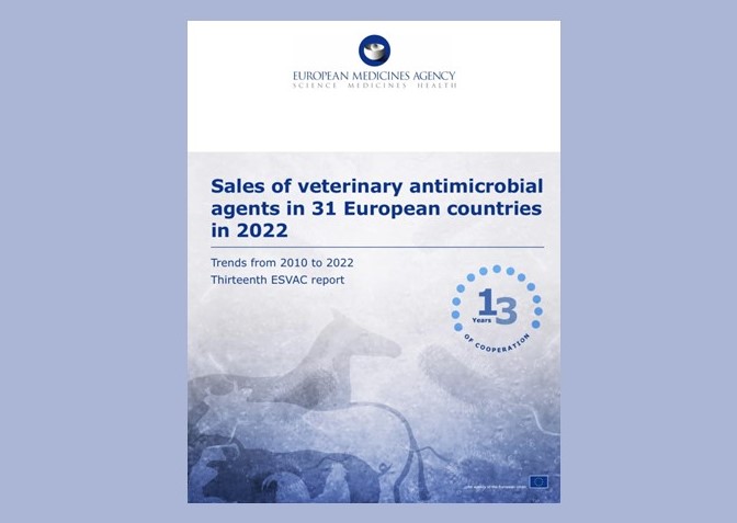Raport: vânzările de antibiotice veterinare în Europa au scăzut considerabil
