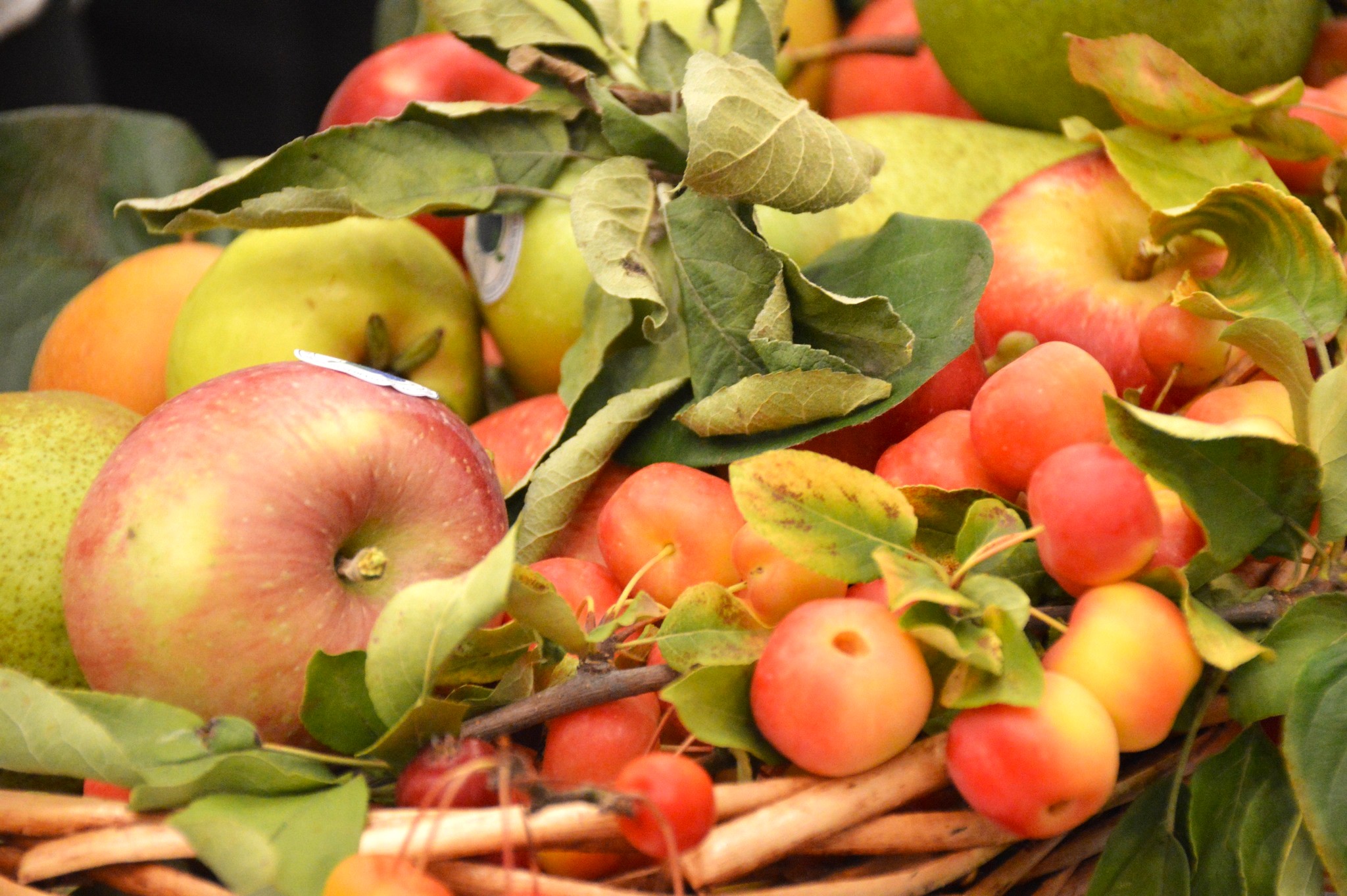 10 octombrie, Ziua naţională a produselor agroalimentare româneşti